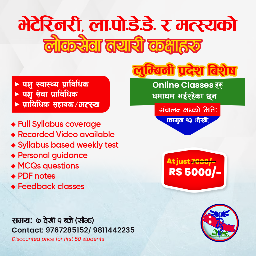 Digital Advertisement Mockup