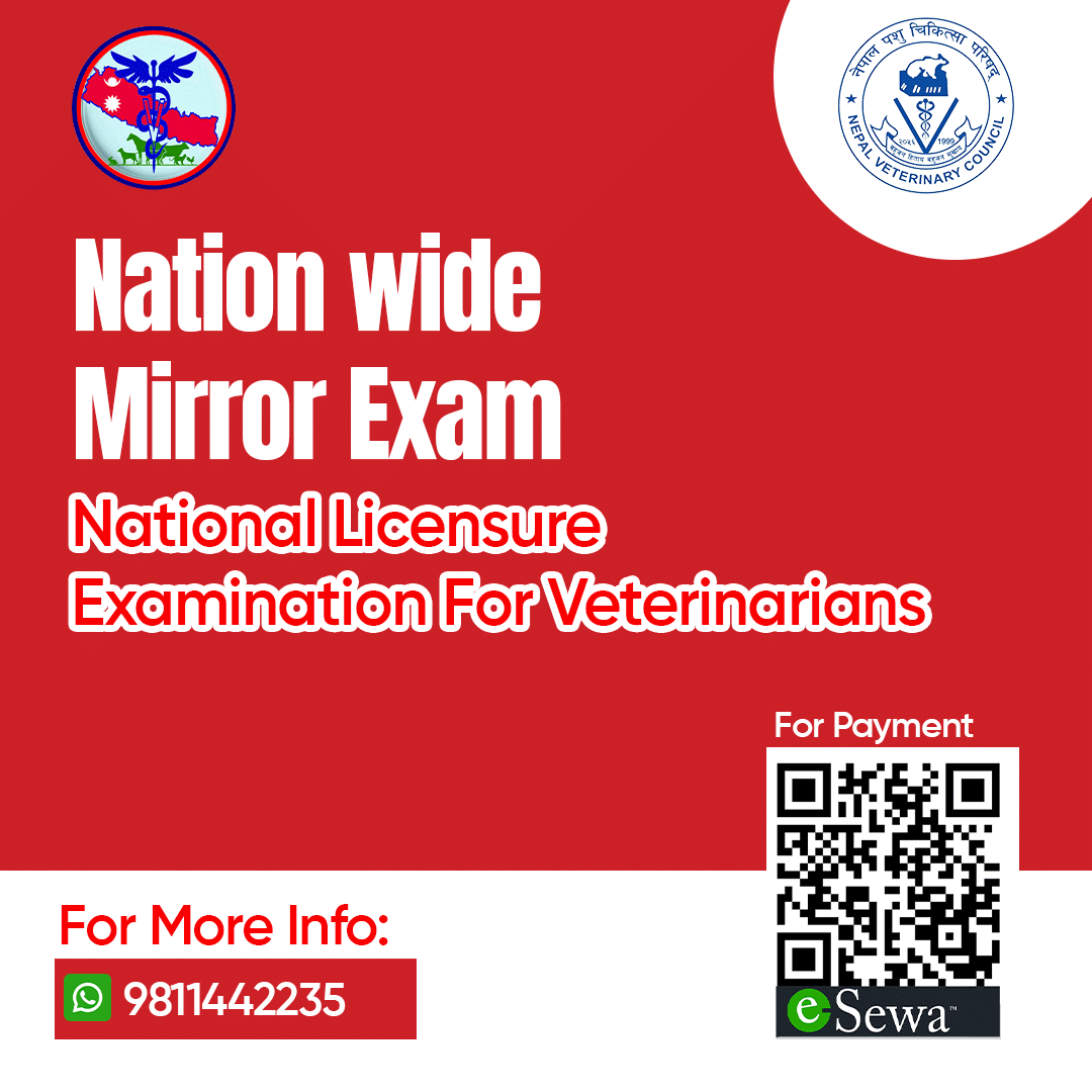 Digital Advertisement Mockup